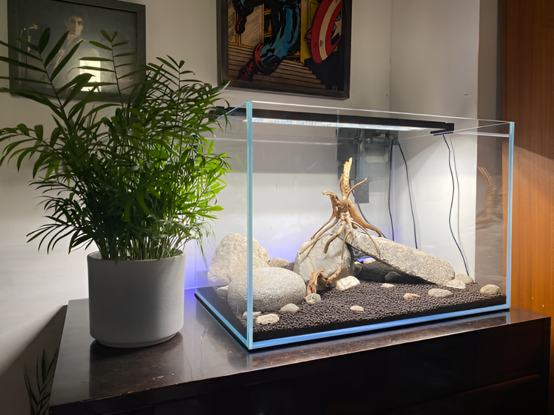 Creating the Perfect Home for Fish